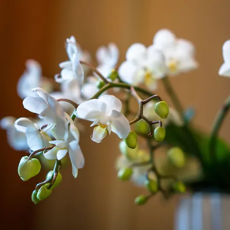 Opus 16, A Member Of Small Luxury 5* ベルゲン