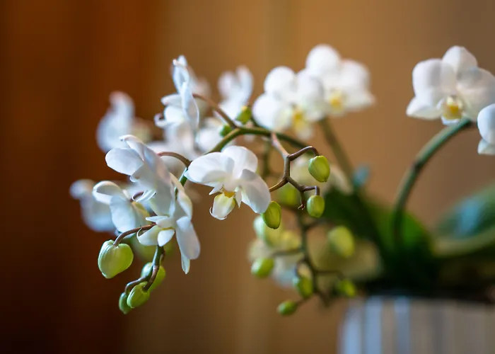 Opus 16, A Member Of Small Luxury 5* Bergen